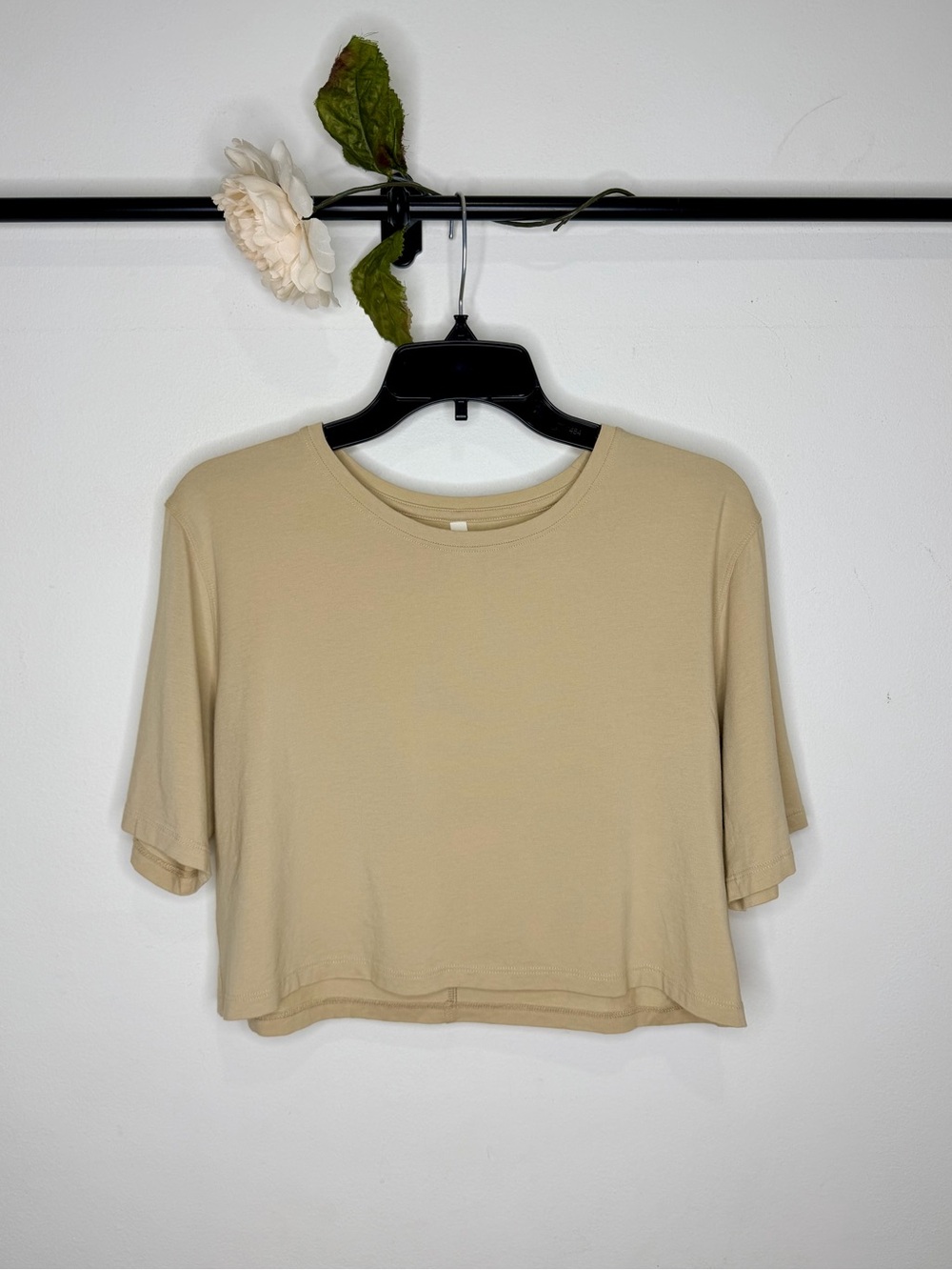 Group by Babaton (Aritzia) ‘Foundation’ Cropped Tee